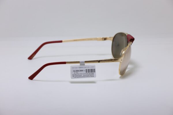 Catier T8200950 CT0077S 001 AAB4531 - Hình ảnh 3