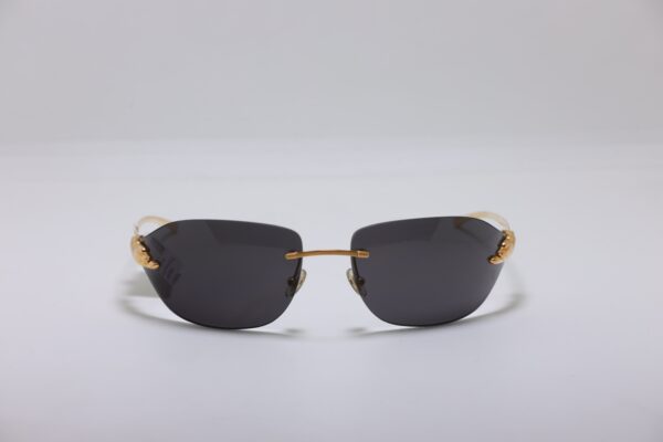 Catier T8200969 6476885 - Hình ảnh 2