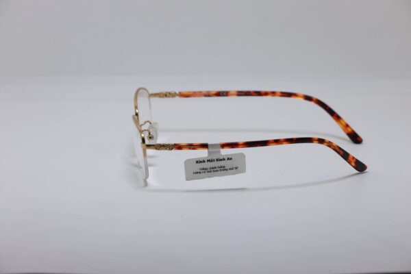 Salvatore Ferragamo titanium frame - Hình ảnh 3