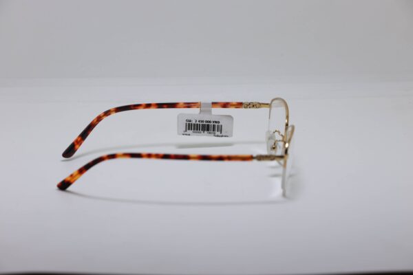 Salvatore Ferragamo titanium frame - Hình ảnh 4